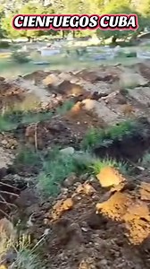 33K views · 24K reactions | El gobierno cubano intenta ocultar la situación higiénico epidemiológica que enfrenta el país además de la falta de insumos para combatir los mosquitos 烈, la falta de electricidad en el horario de la noche y la mala alimentación que sufren hoy los cubanos. En el cementerio de Cienfuegos se preparan fosas comunes porque se esperan muertes masivas #Cuba #virus #muertes #Cienfuegos | Placido Ferreiro Romero | Facebook