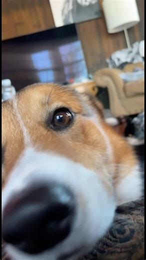 Kelsey Morgan (@kelseymorgann)’s videos with original sound - RxCKSTxR