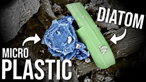 I extracted microplastics from a lake using olive oil