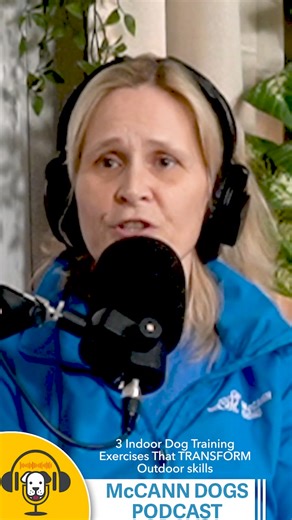 1.8K views · 11 reactions | 3 Indoor Dog Training Exercises That TRANSFORM Outdoor skills! #dogtraining https://youtu.be/zV16XBiVwbA | McCann Professional Dog Trainers | Facebook