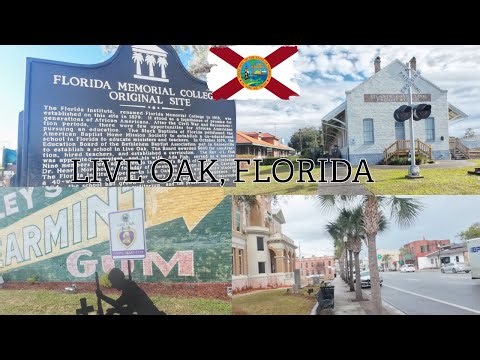 Live Oak, Florida I North Florida Vibes I Historical Black Town I 4K