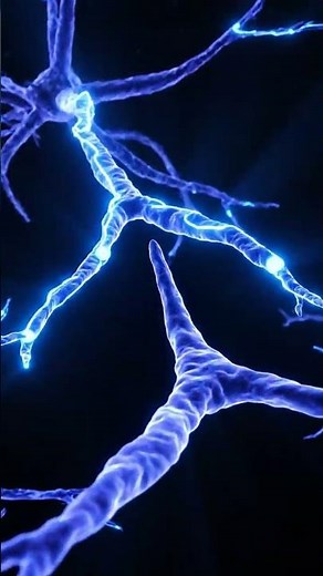 Revealed: How Practicing A Skill Physically Rewires Your Brain #Shorts