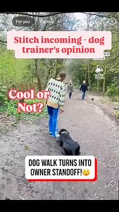Ego training for clicks and likes.. #dogtrainer #dogtraining | Glasgow Dog Trainer and Behaviour Consultant