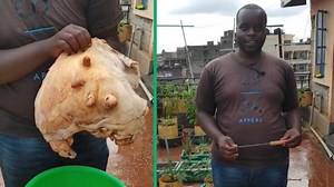 "Udla amabele wenkomo?": Man cooks cow udder, Mzansi has jokes