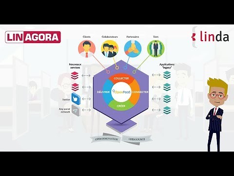 Platformization: new customs, new organization, new IT and new perspectives