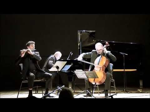 Johann Nepomuk Hummel, Trio for Flute, Cello and Piano, Op. 78