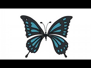 Dessiner un papillon- Comment dessiner un papillon-How to Draw Butterfly