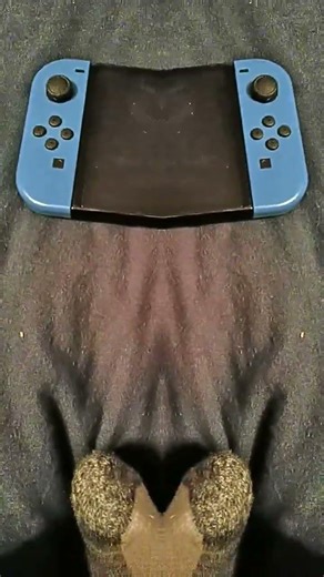 Nintendo switch meme