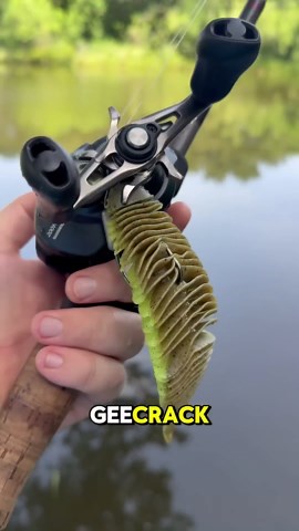 Bellows Gill 5.8 Review – Bass Magnet or Hype?