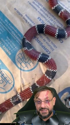 Coral snake in the artwork #biologohenrique #animals #smartanimals #biologist