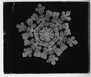 First photographs of snowflakes ever taken #ArtTuesday