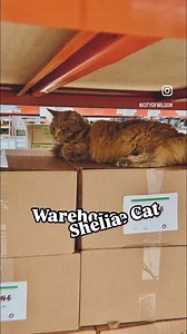 6K views · 99 reactions | Every procurement team has a story…and here...