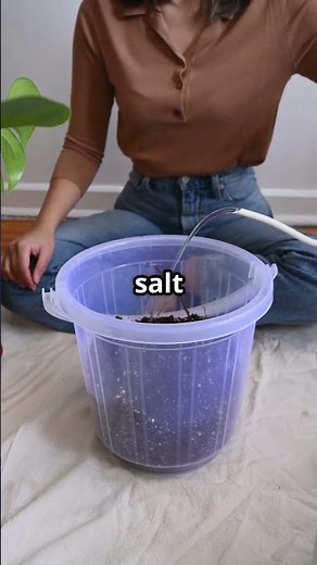 Epsom Salt: The Secret To Wellness