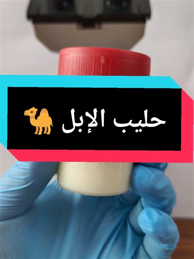 الرد على @h.register8 حليب الإبل تحت الميكروسكوب التالي حليب الحمير تحت الميكروسكوب #الابل #camel #الجمل #🐪 #تعلم_على_تيك_توك