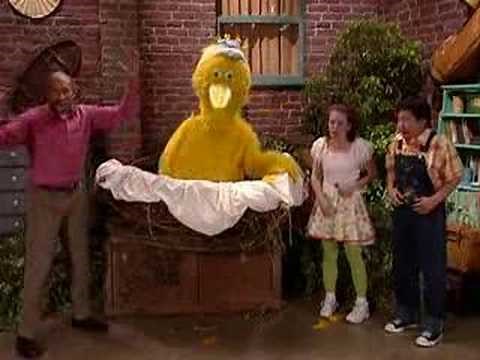 Big Bird Gets Sick