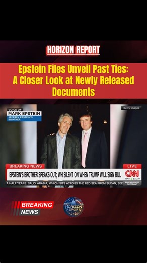 Epstein Files Unveil Past Ties: A Closer Look at Newly Released Documents Recent DOJ releases of over 11,000 Epstein documents reveal flight logs showing Donald Trump as a passenger on Jeffrey Epstein's jet at least eight times in the 1990s. Mark Epstein's CNN interview highlights their mutual friendship and jet-sharing. No wrongdoing is alleged against Trump in these files, but they spotlight Palm Beach social circles. What insights might future disclosures bring? #EpsteinDocuments #Transparenc