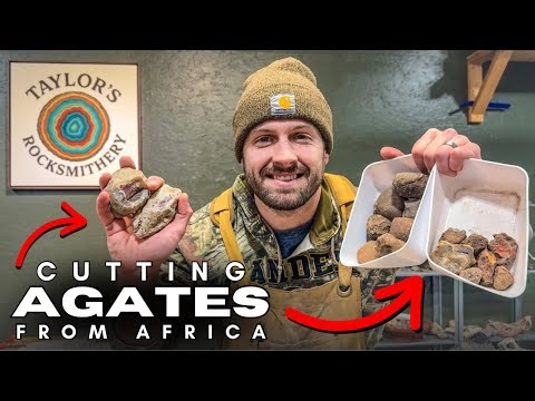 LIVE: Cutting Agates ONLY from Africa! Swazi, Botswana & Malawi!