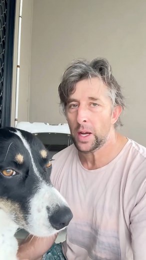 1.1K views · 13 reactions | With plenty of calls regarding pets and...