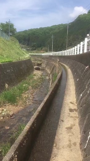 #犬のいる生活 #動物のいる生活 #ペットのいる生活 #ペットのいる暮らし #癒し動物 #動物動画 #わんちゃん #癒しのペット #動物のいる暮らし #犬がいる生活 #可愛いペット #ペット動画 #犬 #面白い動物 #動物おもしろ動画 #動物癒し動画 #おもしろ動画動物 #可愛い動物 #おもしろ動物 #動物可愛い