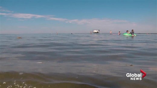 Residents raise stink over proposed industrial feedlot near popular Alberta lake