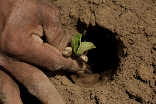 5 ways to transform our food systems and save the planet