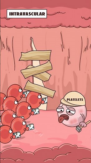 Don‘t Hurt Yourself: A Call to Cherish Life#animatin #funny #shorts #health #trending