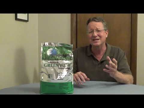 Best Time to Plant Tall Fescue - Overseeding Lawn