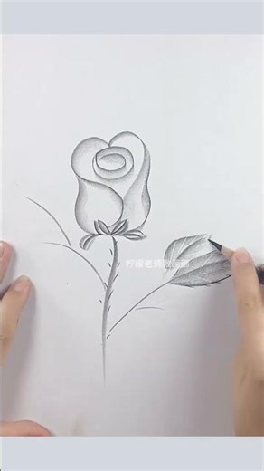 Learn to Draw Roses: Step-by-Step Sketch Tutorial for Beginners