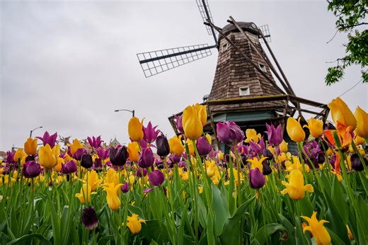 Plan a perfect getaway to Pella, Iowa’s Dutch-inspired streets