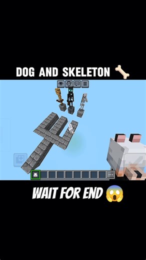 Minecraft Wolf vs Skeleton 🦴🔥 (Short Battle) #Minecraft #DogAndSkeleton #MinecraftDog