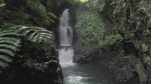 Explore and head off the beaten track at Faleseela River Walk. Hike through lush tropical forests and discover majestic waterfalls that lead to hidden swimming spots. #BeautifulSamoa #BeautifulAnticipation #BeautifulAdventure | Samoa Tourism