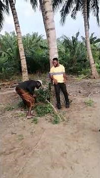 The enemy within: Understanding internal conflicts