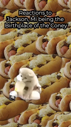 Jackson, Michigan. Birthplace of the Coney. #coneydog #jacksonmi #fortwayne #flintmichigan #detroit | Experience Jackson