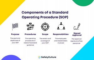What are the components of an SOP? [2025] | QAQooking.wiki