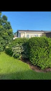 Thompsons Cleaning on Reels | Facebook