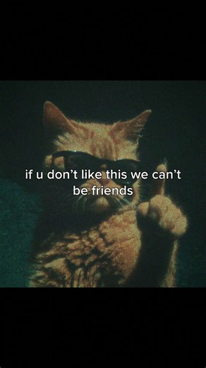 don’t overthink just add it to the playlist #songrec #trackmatch #genzmusic #tiktokedit