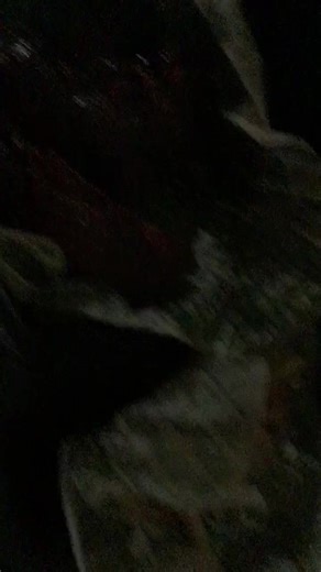 ppppppppppppppppppprrrrrrrrrr$ (@ppppppppppppppppp6494)’s videos with she gonna call me baby boo - Kiaraꫂ᭪