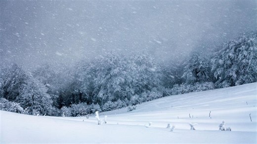 Trei zile de ninsoare, lapoviță și polei. Meteorologii au emis cod galben. La munte se va depune strat de zăpadă de 25 cm