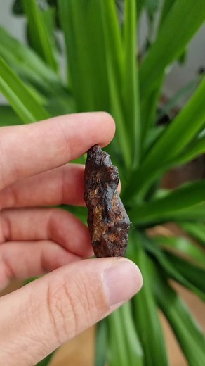 Meteorite Hunting ☄︎ on TikTok