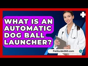 What Is An Automatic Dog Ball Launcher? - PetGuide360.com