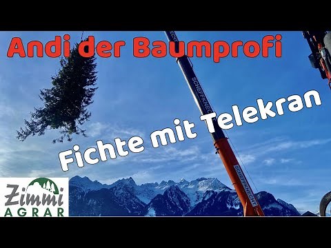 Telekran Problembaumfällung 4K (Andi der Baumprofi)(Epsilon Holzkran)(Fendt 724)