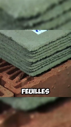 Cette feuille remplace le mortier traditionnel