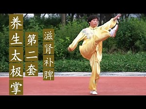 养生太极掌 第二套 赵昕老师 美国导引养生太极协会 Yangsheng Taichi Palm II by Master Zhao