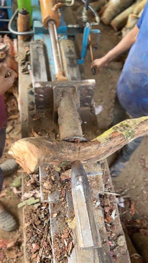 Amazing Wood Cutting Machine #drywood #firewood #cutting #shorts