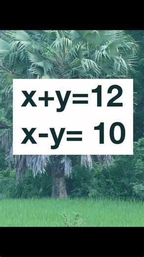 5.1K views · 22 reactions | Solve linear equation #math #satexam #mritunjaylectures #grade8 #grade9 #class8 #Class8to12 六‍樂 | Mritunjay Lectures | Facebook