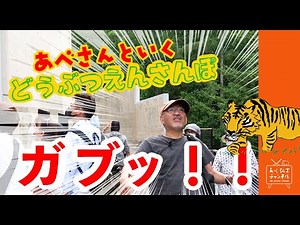 猛獣館！トラ！／あべ弘士さんといくどうぶつえんさんぽ①