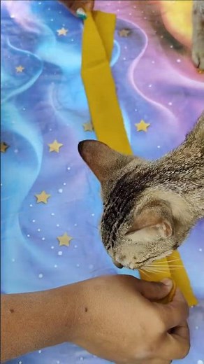 Super Easy DIY Scrunchie Wrist Band Tutorial 😍 #DIYSscrunchie #WristBand #EasyCrafts #Shorts 🥰❤️😘