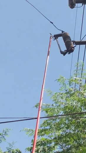 141K views · 905 reactions | #open cut_out #primary section | life of line | Facebook