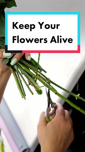 Flower Food Secrets: Keep Your Bouquet Blooming Longer