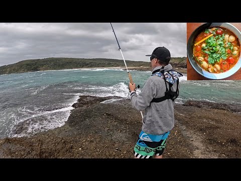 Australian salmon 5 star Catch & Cook